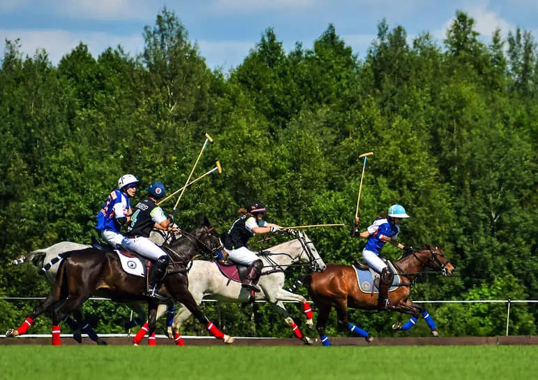 Почему конный гараж может стоить более $1 млн в поло-0