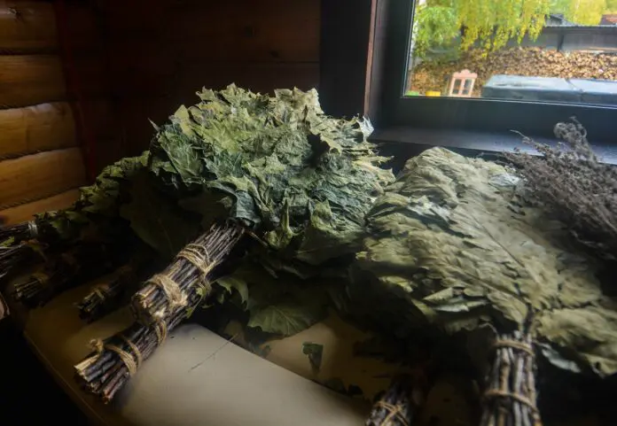 Секреты выбора, сушки и хранения банных веников от Виктора Пономарёва-0