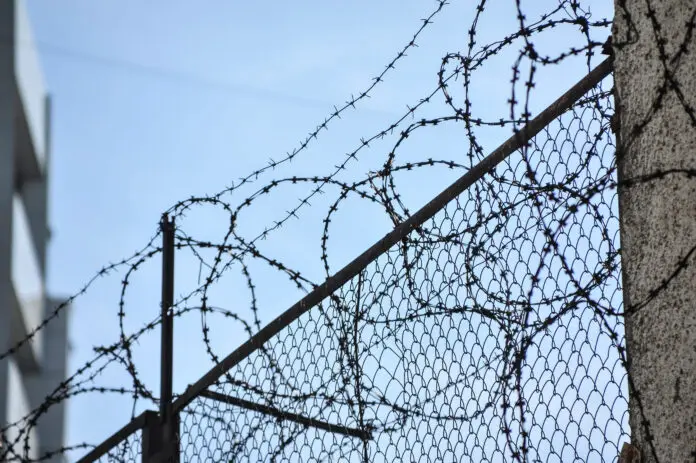 Современные нормы об обороте наркотиков в Уголовном кодексе России-0