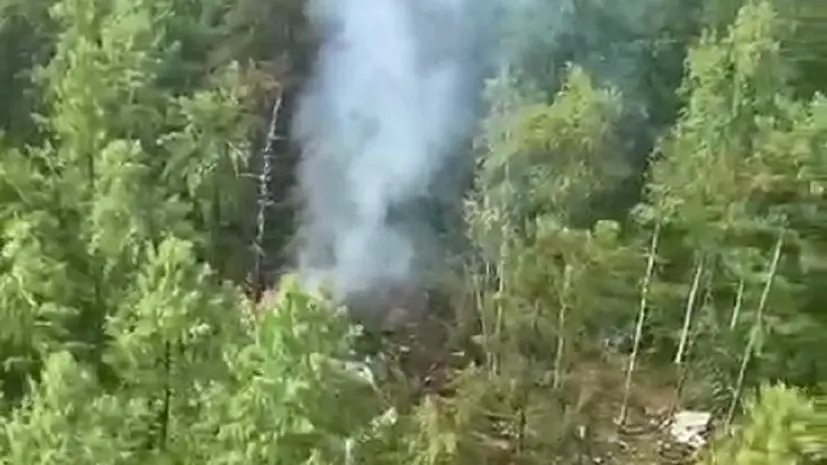 «Спасатели следуют к месту происшествия»: в Амурской области потерпел крушение самолёт Ан-24