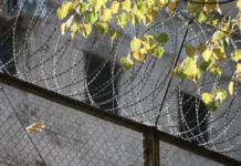 Александр Пичушкин оспаривает решение Замоскворецкого суда и действия ФСИН aleksandr pichushkin osparivaet reshenie zamoskvoreczkogo suda i dejstviya fsin-ekaterinburgu-ru-0