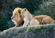 Антонио Бандерас, Вениамин Смехов и события лета 10 августа antonio banderas veniamin smehov i sobytiya leta 10 avgusta-ekaterinburgu-ru-0