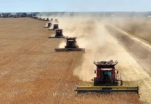 ЦЦИ и Совэкон сообщают о рекордных урожаях зерновых и масличных czczi i sovekon soobshhayut o rekordnyh urozhayah zernovyh i maslichnyh-ekaterinburgu-ru-0