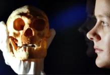 dzheffri stajbel obyasnyaet tajnu mozga i ostanovku evolyuczii-ekaterinburgu-ru-0