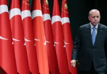 erdogan priglashaet zelenskogo i putina na sammit v turczii-ekaterinburgu-ru-0