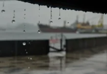 Константин Шестаков сообщил о готовности Примводоканала и ДВФУ к ливням во Владивостоке konstantin shestakov soobshhil o gotovnosti primvodokanala i dvfu k livnyam vo vladivostoke-ekaterinburgu-ru-0