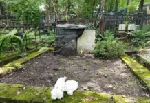 Память о Роберте Рождественском и его любимые папоротники на Переделкинском кладбище pamyat o roberte rozhdestvenskom i ego lyubimye paporotniki na peredelkinskom kladbishhe-ekaterinburgu-ru-0