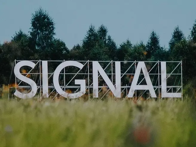 Организаторы фестиваля объявили о его переносе в Москву | Источник: Signal / Вконтакте