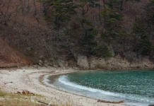 Примгидромет прогнозирует жаркие выходные без дождя в Приморье primgidromet prognoziruet zharkie vyhodnye bez dozhdya v primore-ekaterinburgu-ru-0