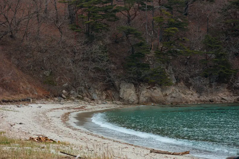 Фото: primamedia.ru