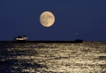 Росагролизинг и ОСК ищут оптимальные решения для модернизации флота rosagrolizing i osk ishhut optimalnye resheniya dlya modernizaczii flota-ekaterinburgu-ru-0