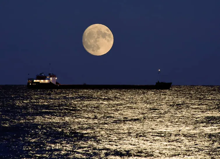 Росагролизинг и ОСК ищут оптимальные решения для модернизации флота-0