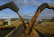 rossiya otkryvaet porty v mariupole i berdyanske raskryvaya sensaczii o zerne-ekaterinburgu-ru-0