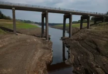 Великобритания обсуждает с учеными меры экономии воды в условиях засухи velikobritaniya obsuzhdaet s uchenymi mery ekonomii vody v usloviyah zasuhi-ekaterinburgu-ru-0