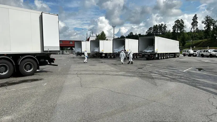 В рамках стамбульских договорённостей: Россия передала Украине ещё 1000 тел погибших военнослужащих