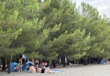 Восторженный отдых в Пицунде и на пляже Лдзаа в Абхазии! vostorzhennyj otdyh v piczunde i na plyazhe ldzaa v abhazii-ekaterinburgu-ru-0