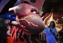 Исследование верапамила при фибрилляции предсердий стало прорывом МФТИ issledovanie verapamila pri fibrillyaczii predserdij stalo proryvom mfti-ekaterinburgu-ru-0