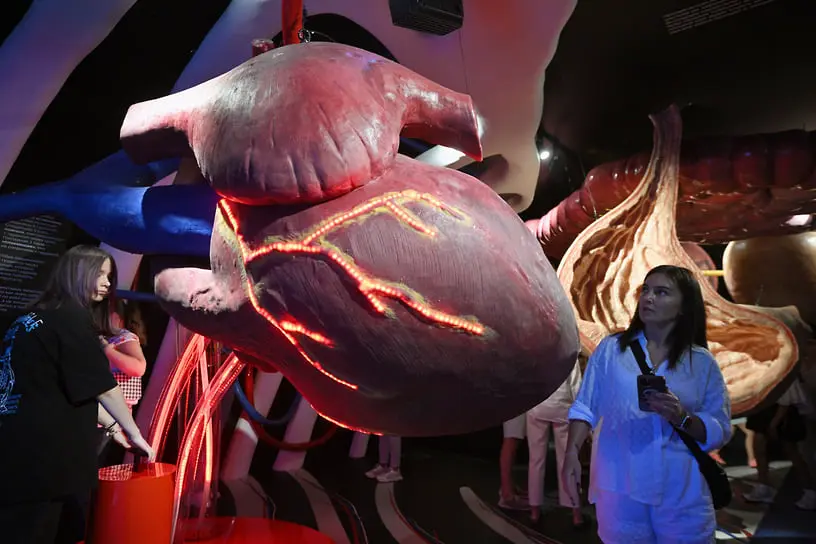 Исследование верапамила при фибрилляции предсердий стало прорывом МФТИ-0