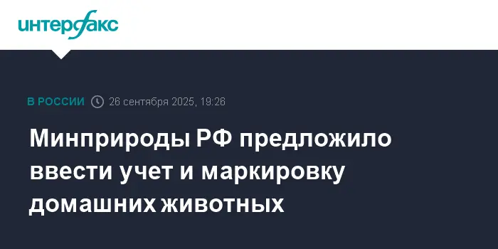 Минприроды РФ объявило о доступности чипирования для владельцев животных-0