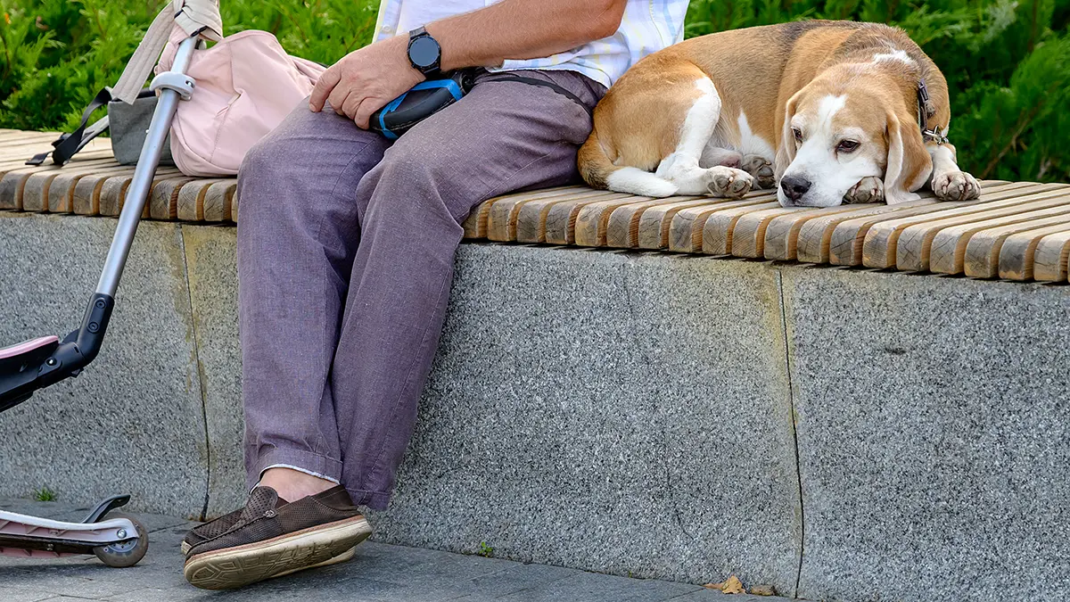 Погода в Москве на 20 и 21 сентября