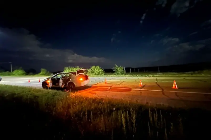 В Приморье водитель без прав сбил лошадь Полиция Приморья