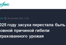 В 2025 году новые тенденции агрострахования в Ростовской, Орловской и Воронежской областях v 2025 godu novye tendenczii agrostrahovaniya v rostovskoj orlovskoj i voronezhskoj oblastyah-ekaterinburgu-ru-0