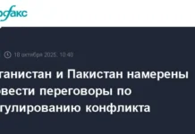 Афганистан и Пакистан обсуждают шансы для мира в переговорах Якуба и Асифа afganistan i pakistan obsuzhdayut shansy dlya mira v peregovorah yakuba i asifa-ekaterinburgu-ru-0