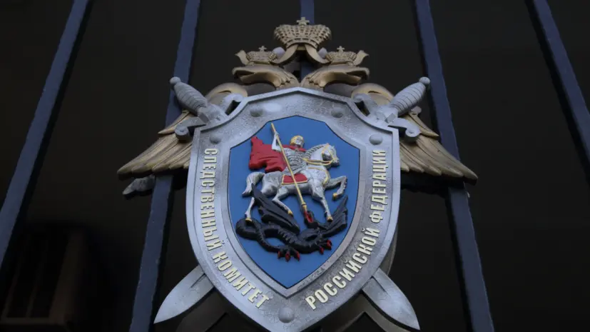 В СКР доложат о травме мальчика из-за упавшего дерева в детсаду Новосибирска