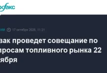 Александр Новак и Владимир Путин поддерживают стабильность на рынке НПЗ России aleksandr novak i vladimir putin podderzhivayut stabilnost na rynke npz rossii-ekaterinburgu-ru-0