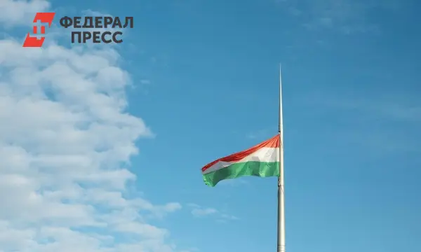 Европейский союз отказывается поддержать саммит Путина и Трампа по Украине-0