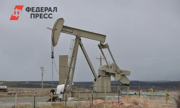 Индия и Россия развивают нефтяное сотрудничество, реагируя на критику США-0