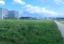 kirill purtov anonsiruet aukcziony na obshhestvennodelovye obekty v kommunarke-ekaterinburgu-ru-0