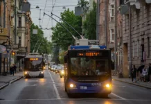 krasnogvardejskij i kronshtadtskij rajony peterburga lidiruyut v rejtinge czitiruemosti glav-ekaterinburgu-ru-0