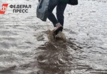 mchs v moskve prizvalo gorozhan podgotovitsya k obilnym dozhdyam v pyatniczu-ekaterinburgu-ru-0