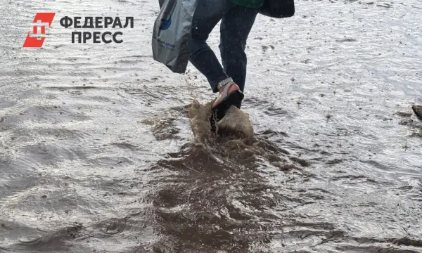 МЧС в Москве призвало горожан подготовиться к обильным дождям в пятницу-0