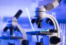 МГУ имени М.В. Ломоносова и Пекинский политех открыли лабораторию в Шэньчжэне mgu imeni mv lomonosova i pekinskij politeh otkryli laboratoriyu v shenchzhene-ekaterinburgu-ru-0