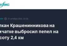 monitoring  fiksiruet aktivnost vulkana krasheninnikova na kamchatke-ekaterinburgu-ru-0