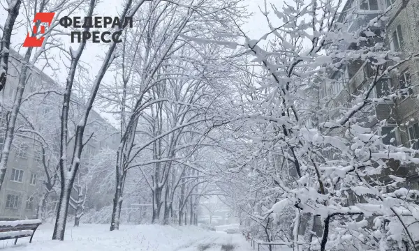 Мощный циклон приносит в Приморский край снег, гололед и осадки-0