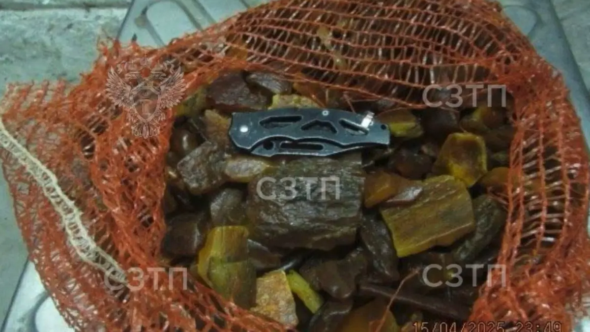 Мужчину оштрафовали на 500 тысяч за контрабанду янтаря в Калининградской области