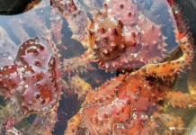 Олег Кан и Александр Кан рассказывают о компании "Монерон" и переменах в Росимуществе oleg kan i aleksandr kan rasskazyvayut o kompanii moneron i peremenah v rosimushhestve-ekaterinburgu-ru-0