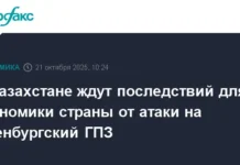 Партнерство КазМунайГаз, Газпром и КазРосГаз укрепляет устойчивость после атак на Оренбургский ГПЗ partnerstvo kazmunajgaz gazprom i kazrosgaz ukreplyaet ustojchivost posle atak na orenburgskij gpz-ekaterinburgu-ru-0