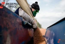 polskoe ministerstvo selskogo hozyajstva izmenyaet pravila postavok ukrainskogo zerna v es-ekaterinburgu-ru-0