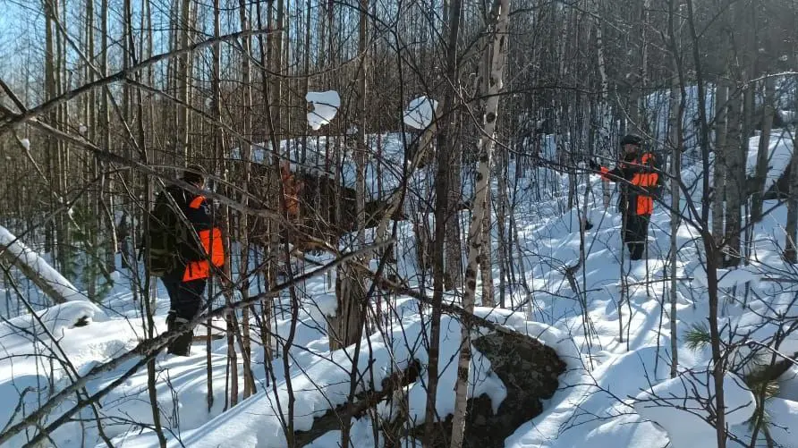 Спасатели рассказали о ходе поисков пропавшей в тайге семьи Усольцевых
