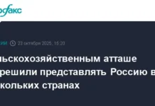 Правительство России расширяет полномочия сельскохозяйственных атташе Минсельхоза pravitelstvo rossii rasshiryaet polnomochiya selskohozyajstvennyh attashe minselhoza-ekaterinburgu-ru-0