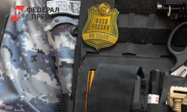 Приставы Екатеринбурга ищут Артема Жиганова для возвращения матери-0