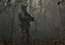 ruslan gorbenko i vitalij manko obsudili problemy vsu v verhovnoj rade-ekaterinburgu-ru-0