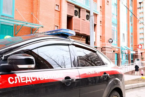 Вводная картинка