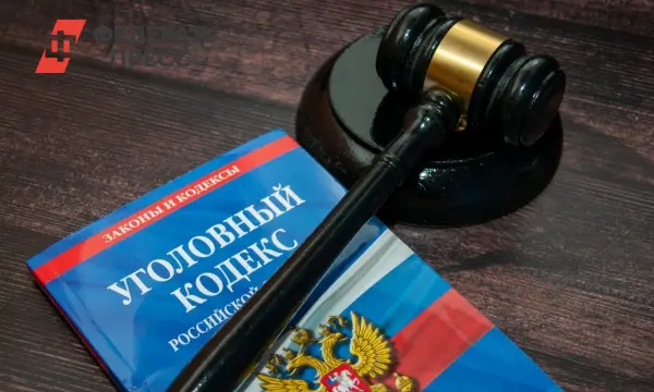 Участковый в Красноярске спас ребенка, суд определил лечение-0