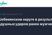 В Белгородской области оказали оперативную помощь раненым после инцидента в Шебекинском округе v belgorodskoj oblasti okazali operativnuyu pomoshh ranenym posle inczidenta v shebekinskom okruge-ekaterinburgu-ru-0