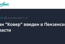 В Пензенской области успешно реализован план "Ковер" для безопасности жителей v penzenskoj oblasti uspeshno realizovan plan kover dlya bezopasnosti zhitelej-ekaterinburgu-ru-0